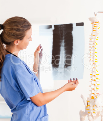 Gorgeous smiling doctor with a stethoscope and a x-ray