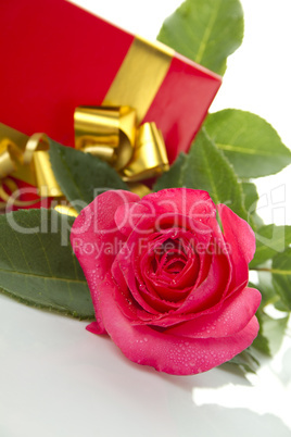 Red Rose, gift box