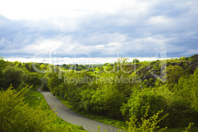 empty road in the park