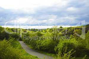 empty road in the park