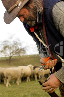 Der Hirte bei der Arbeit