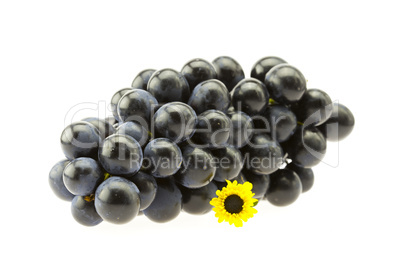 bunch of grapes with a flower  isolated on white