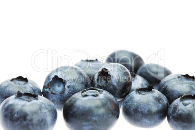 Bilberry isolated on white