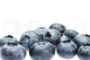 Bilberry isolated on white