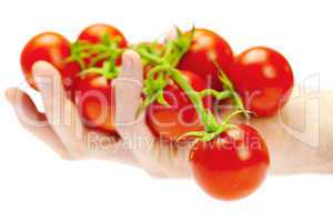a bunch of tomato in your hand man isolated on white