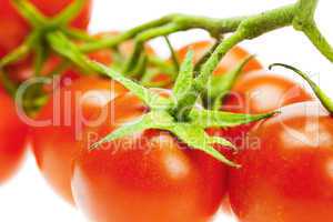 a bunch of tomatoes  isolated on white