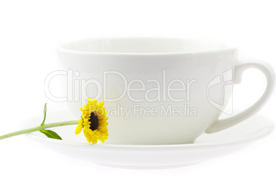 cup and flower isolated on white