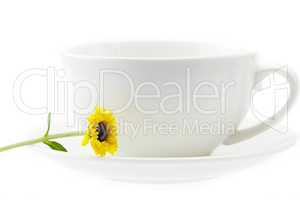 cup and flower isolated on white