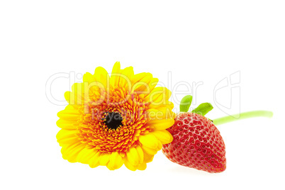 strawberry and flower isolated on white