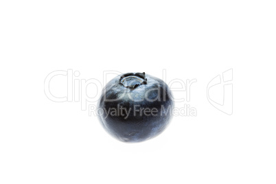 blueberries  isolated on white