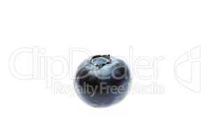 blueberries  isolated on white