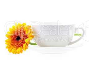 white cup and a flower isolated on white