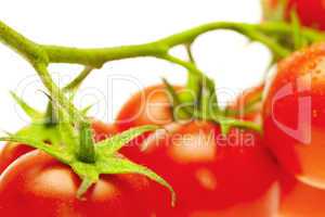 a bunch of tomatoes  isolated on white