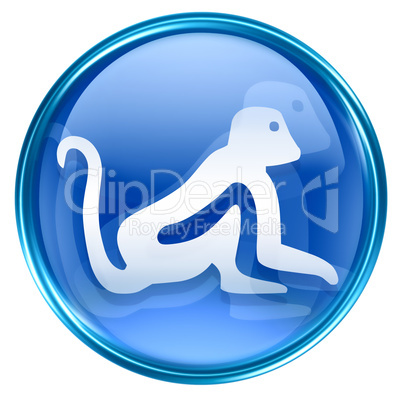 Monkey Zodiac icon blue, isolated on white background.