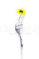 flower in the fork isolated on white