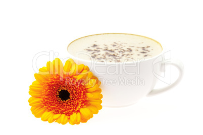 a cup of cappuccino with flower isolated on white