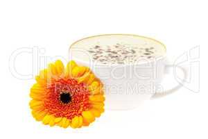 a cup of cappuccino with flower isolated on white