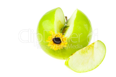 apple with a yellow flower isolated on white
