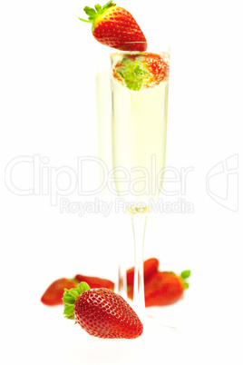 Strawberries with champagne isolated on a white