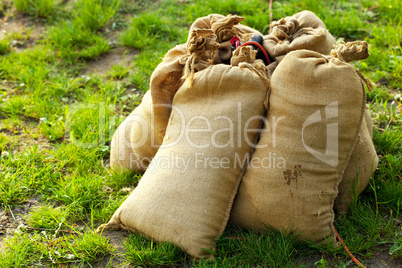 sandbags lying on green grass