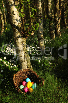 Osternest im Birkenhain