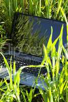 laptop in green grass