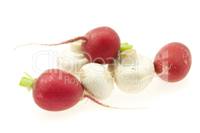 radishes and mushrooms isolated on white