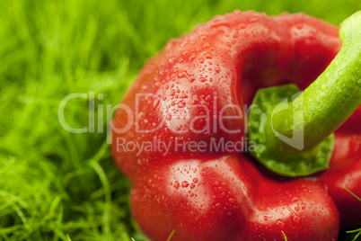 red Pepper lying on green grass