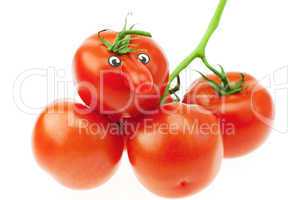 bunch of tomatoes isolated on white