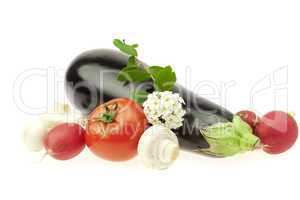 radish eggplant tomato flower and mushrooms isolated on white