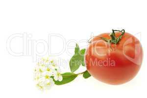 tomato and flower isolated on white