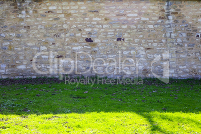 brick wall and green grass