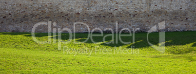 brick wall and green grass