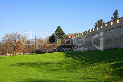 brick wall and green grass