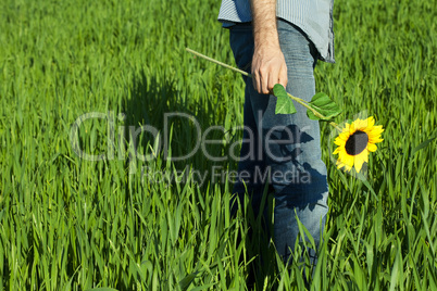 young man standing with a sunflower in the green field