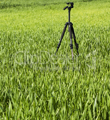 tripod standing in the green field