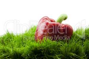 red pepper lying on green grass