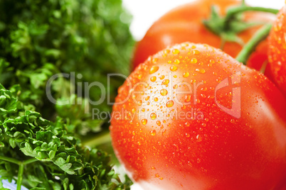 tomatoes with drops of water and greenery