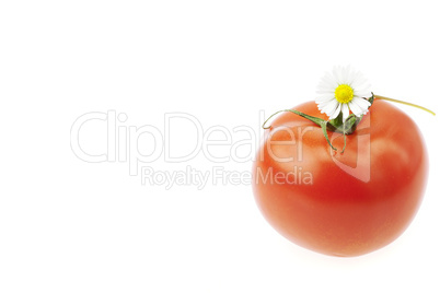 tomato and flower isolated on white