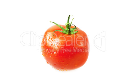 tomatoes with water drops isolated on white