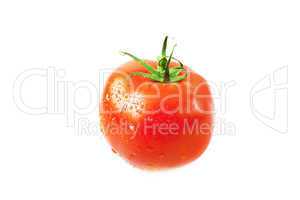 tomatoes with water drops isolated on white