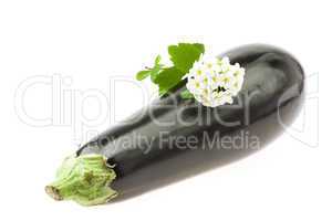 eggplant and a flower isolated on white