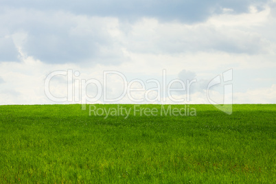 green field on a background of blue sky