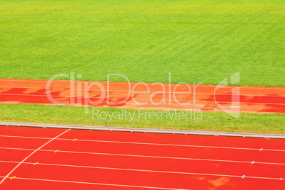 treadmill and the green field