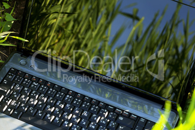 laptop on the green grass