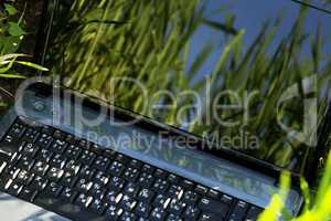 laptop on the green grass