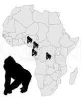 Afrika Gorilla Verbreitung