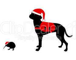 Hund und Kiwi mit Rucksack und Weihnachtsmütze
