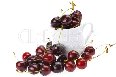 cherry and milk jug  isolated on a white