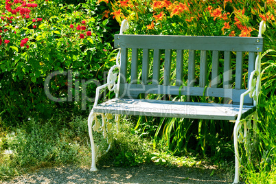 lone bench in the park